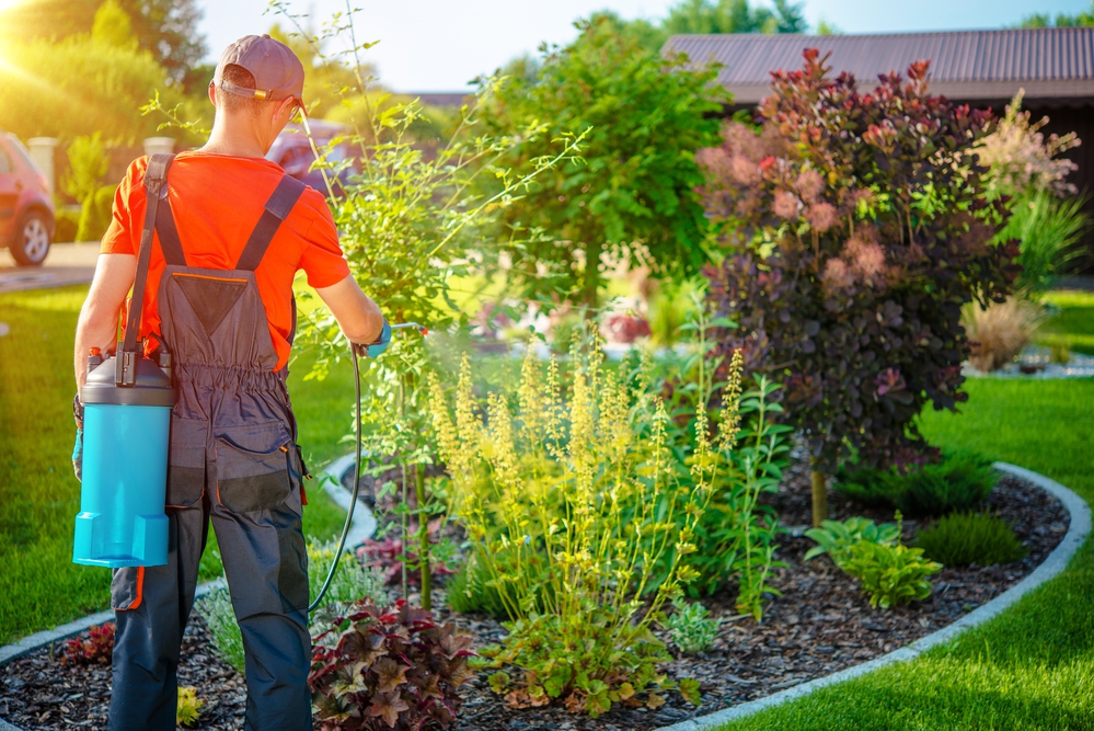 How to tell when a Pest Infestation is an Emergency